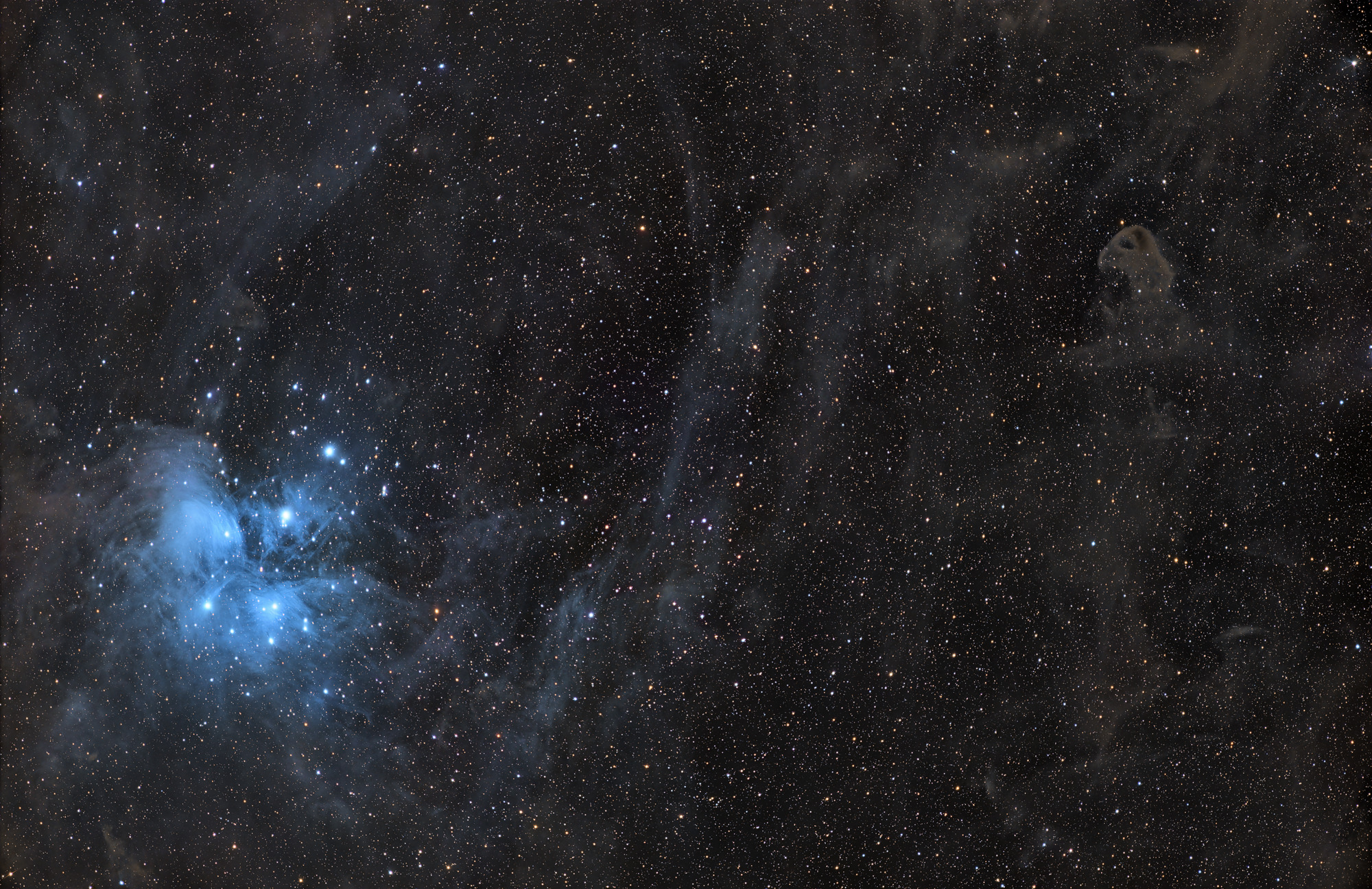 Der offene Sternhaufen Messier 45 (Plejaden) ist umgeben von bläulichen Reflexionsnebeln und schwachen Molekülwolken. Rechts oben ist der Baby-Adlernebel LDN777 erkennbar.